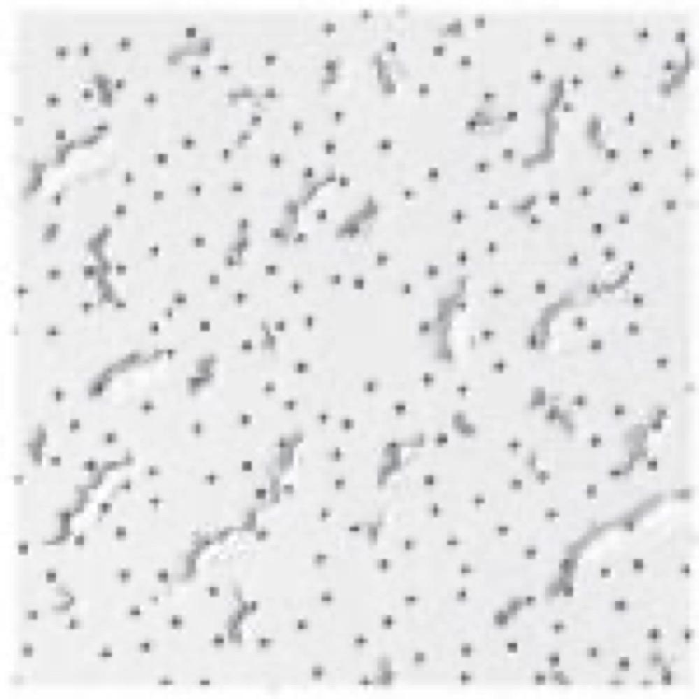 2x4 Fifth Ave Ceil Tile