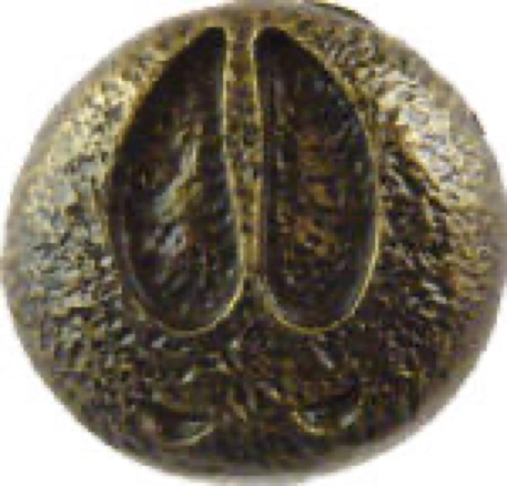 BLK Moose Track Knob