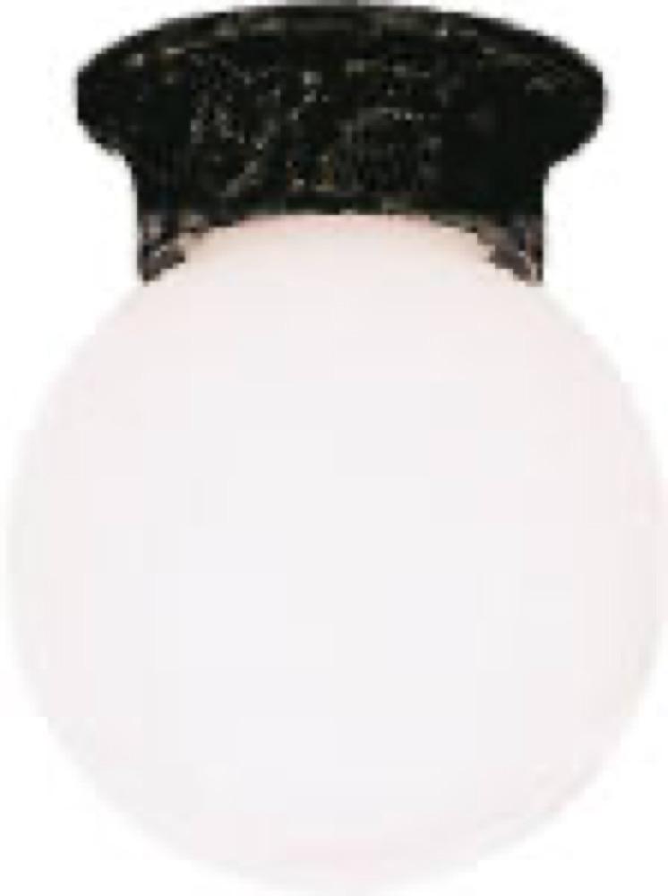 6" BLK Porch Light