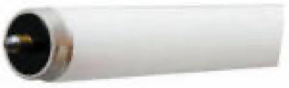 GE 55W 72" CW Fluo Bulb