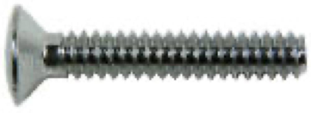 10PK1x10-24 Oval Screw