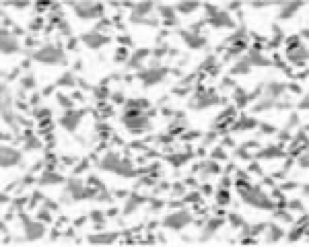 2x4 WHT Ceil LGT Panel