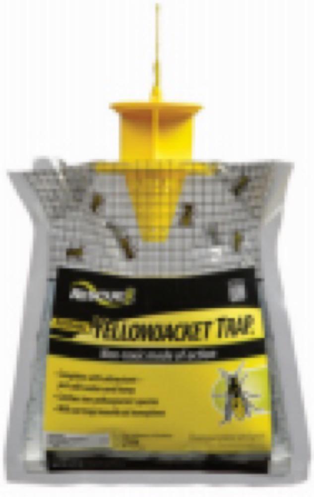 Disp Yellowjacket Trap