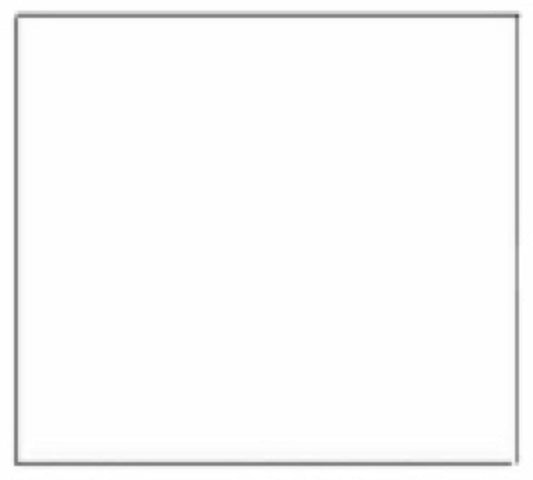 12"x5'GripVinylWHTLiner