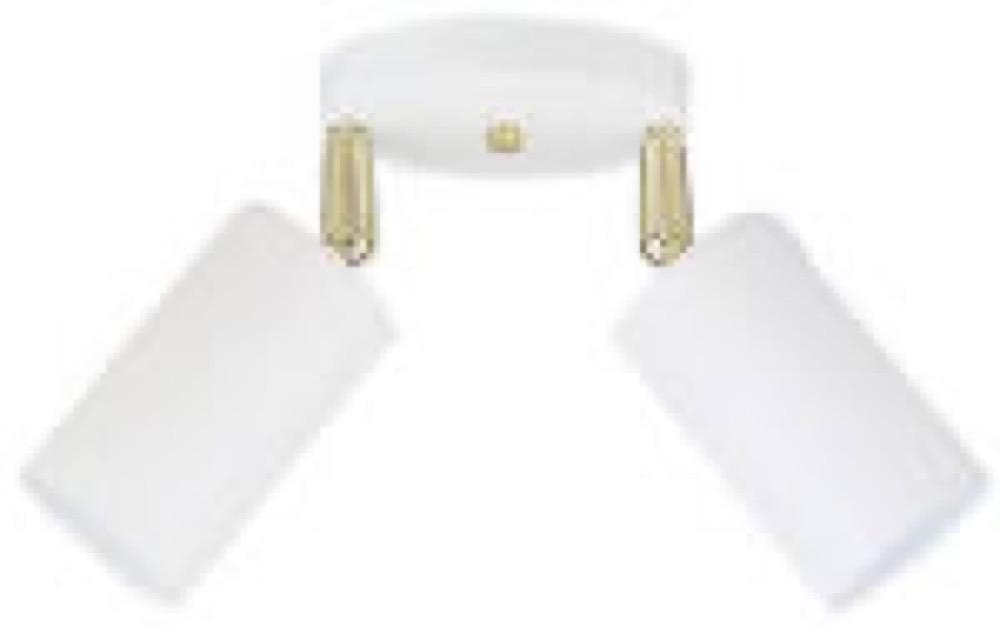 2 LGT WHT Ceil Fixture