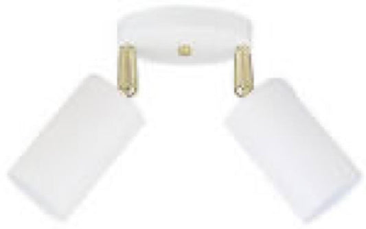 2 LGT WHT Ceil Fixture