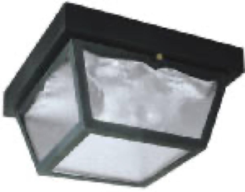 2 LGT Plas Ceil Fixture