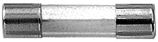 2PK 6A GMA Glass Fuse