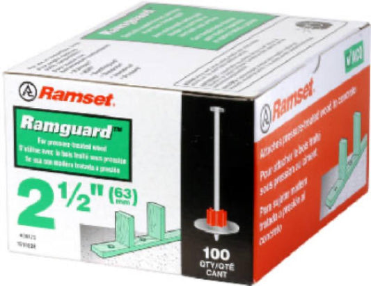 100PK.300x2-1/2 Ram Pin