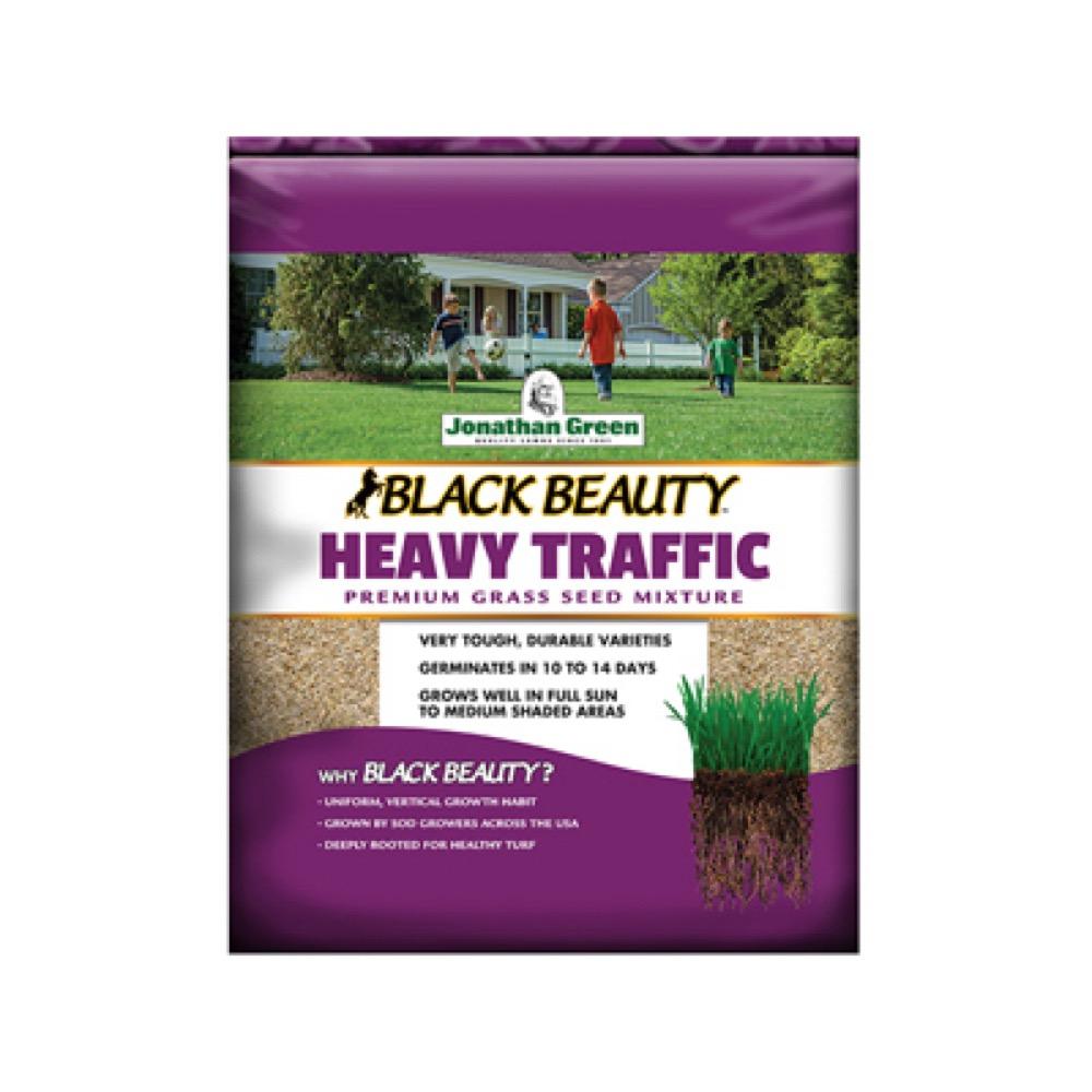 BB 3LB HVY Traffic Seed