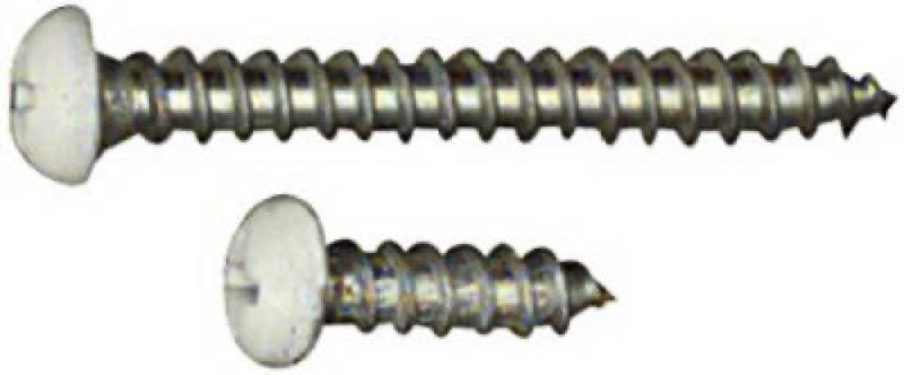12PK WHT BKT Screw
