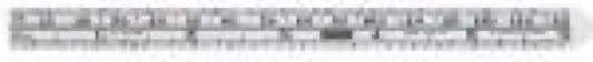 6" Precis SS Rule