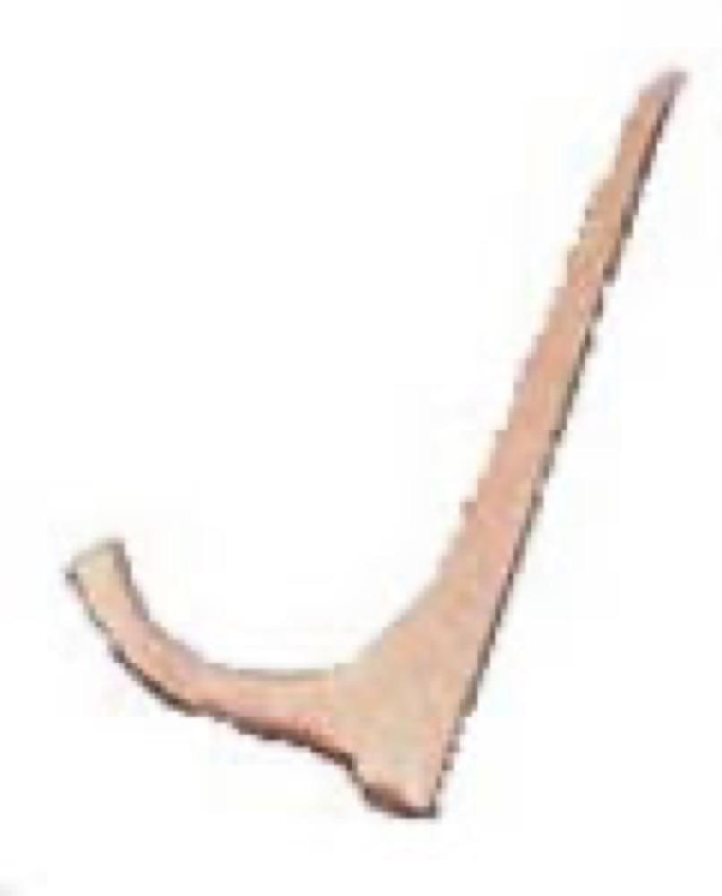 12PK 1/2-3/4 STL Nailer