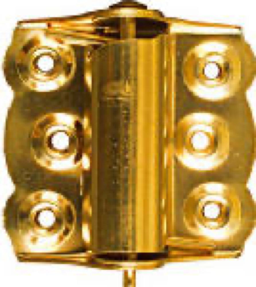 2PK BRS Scr DR Hinge