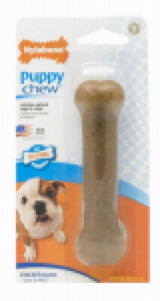 REG SZ Puppy Bone