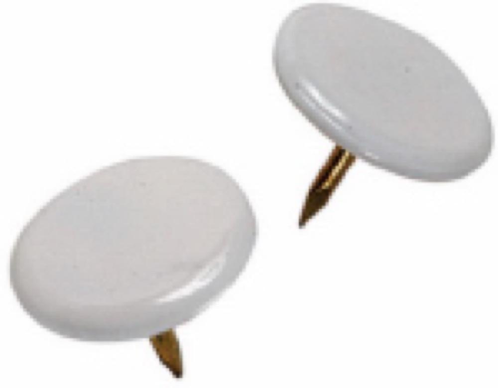 40PK WHT Thumb Tack