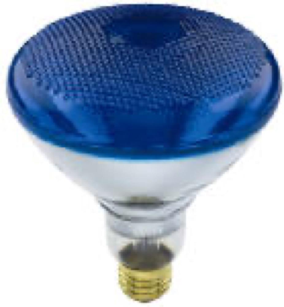 WP 100WBR38BLU FLD Bulb