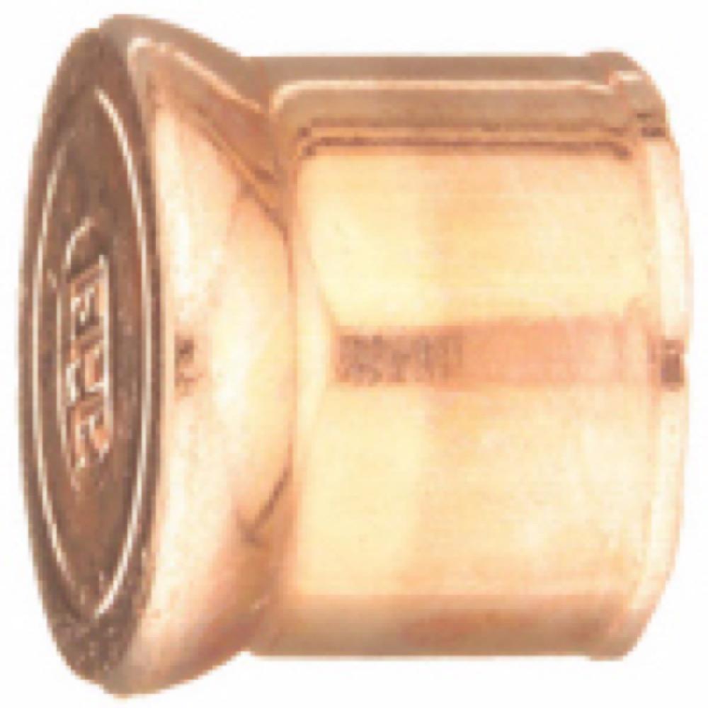 3/4 COP End Plug