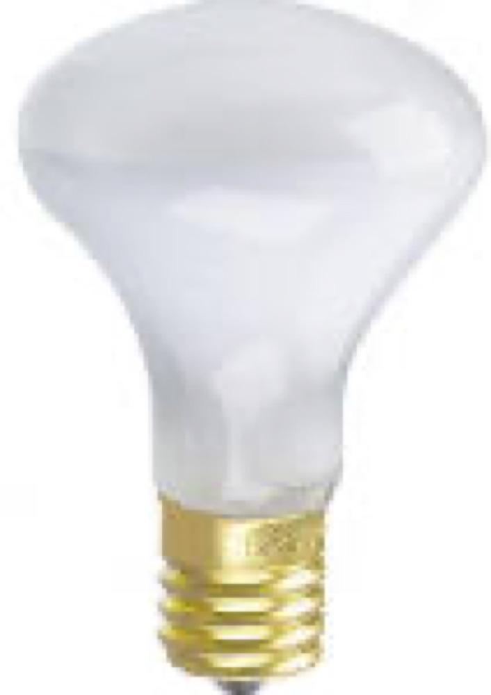 WP 40W R14 FLD Bulb