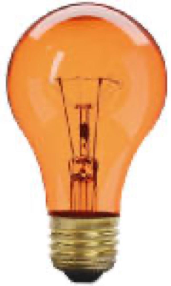 WP 25WA19Amb Party Bulb