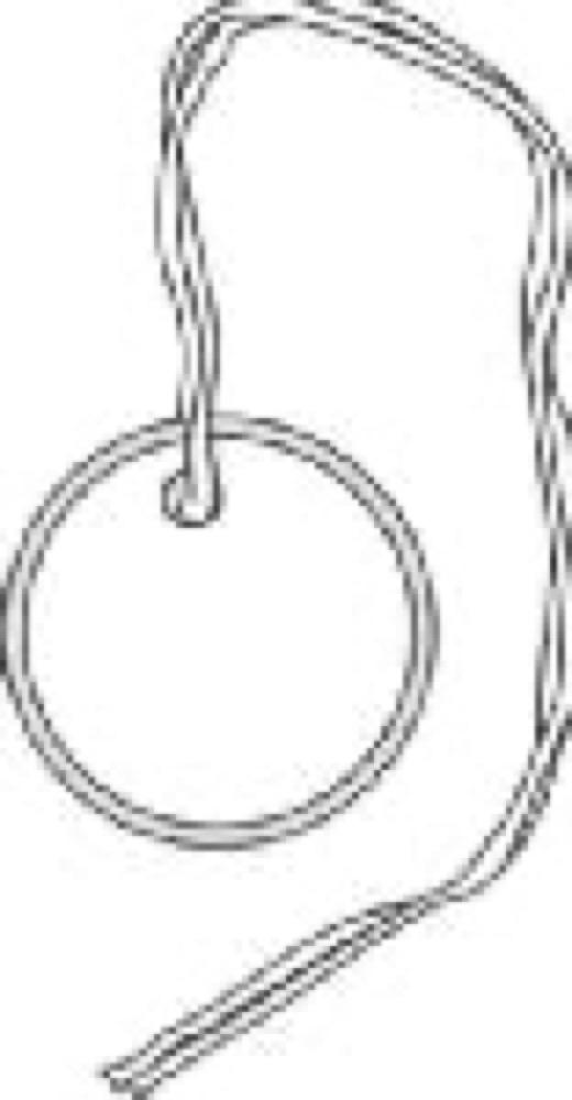 100PK WHTPap Tag/String