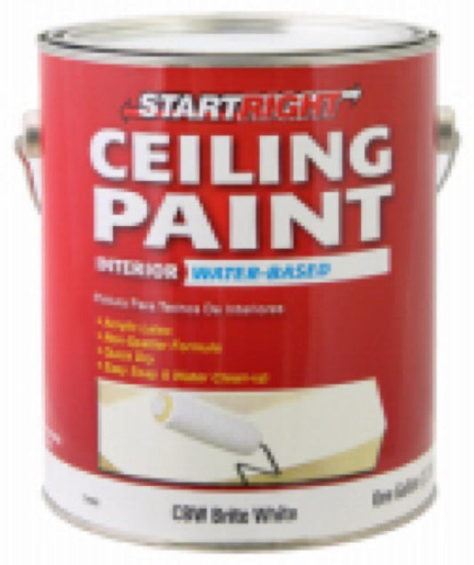 SR GAL WHT Ceil Paint