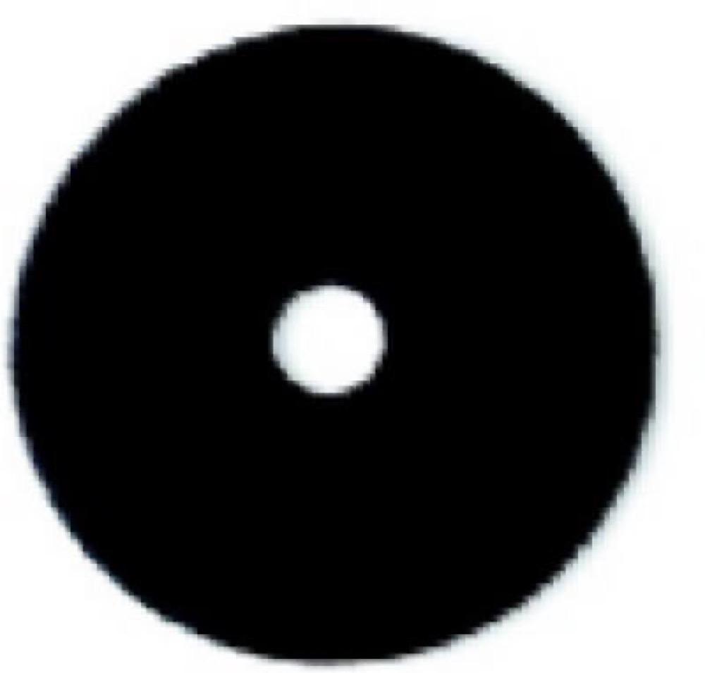 20" BLK Stripp FLR Pad