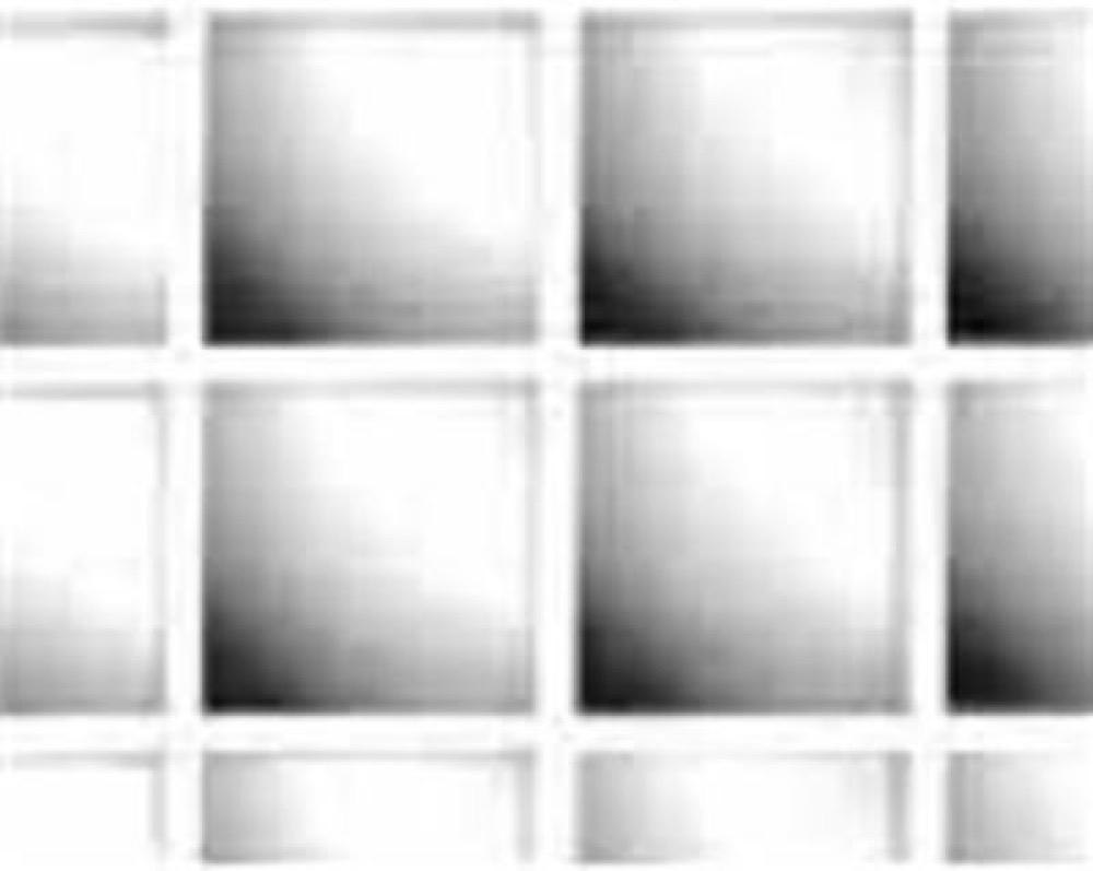 2x4 WHT Ceil LGT Panel