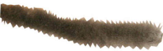 3/16x18GRY Weatherstrip