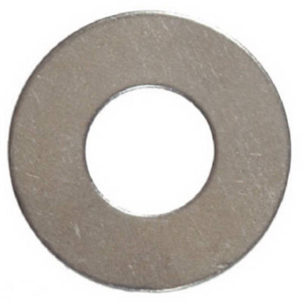 100PK 1/4 SS FLT Washer