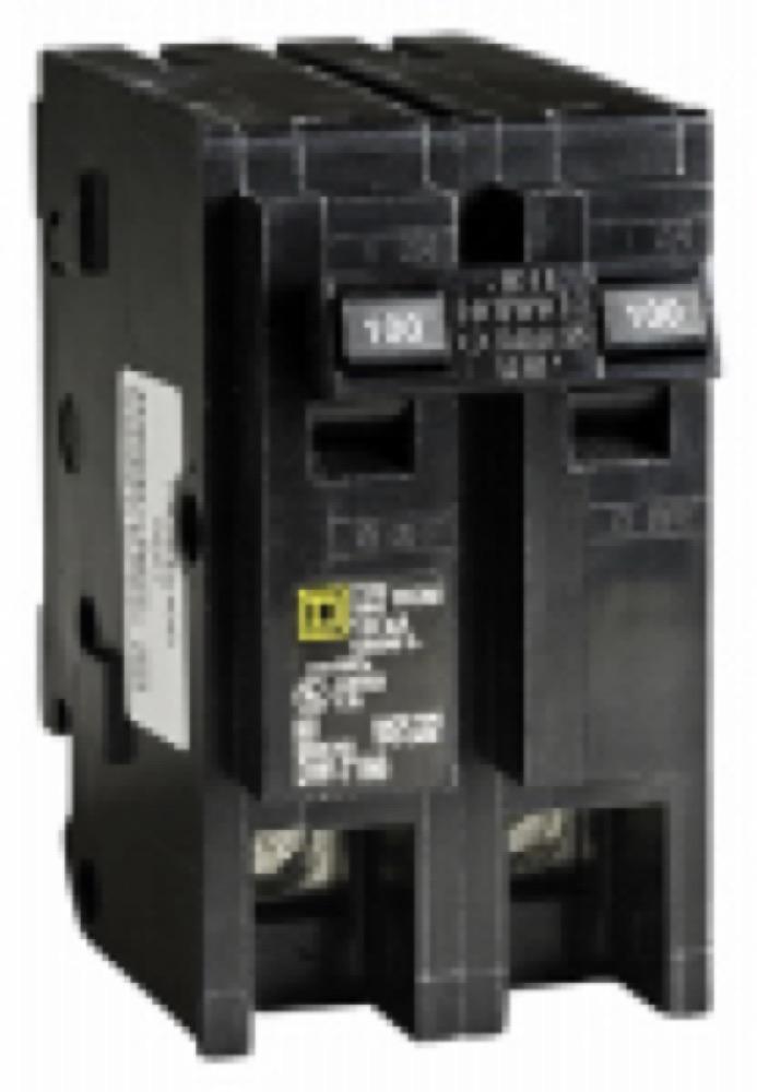 100A DP Circuit Breaker
