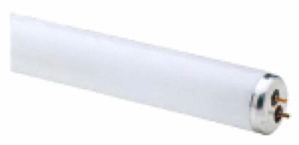 WP 2PK 48" 32W T8 Tube