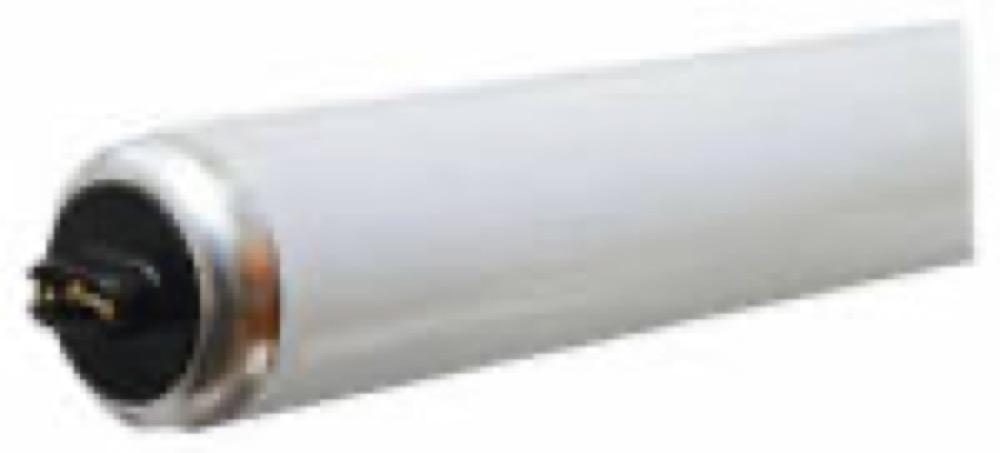 GE 60W 48" CW Fluo Bulb