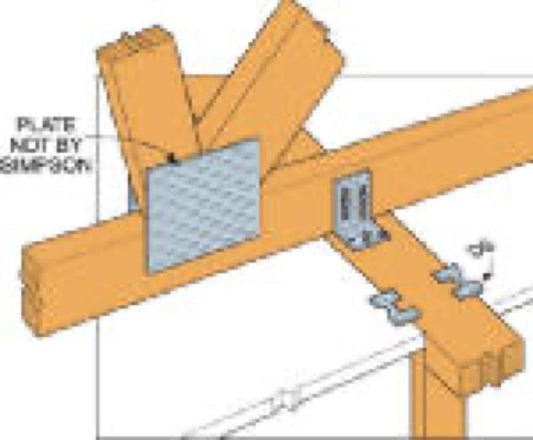 DTC DBL Truss Clip