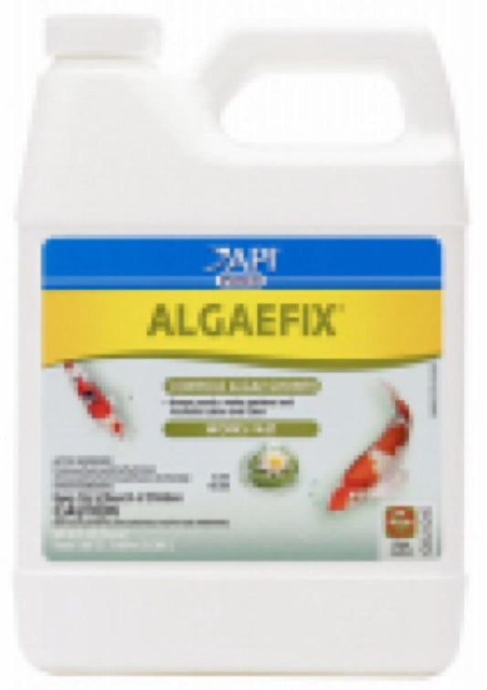 32OZ Algaefix