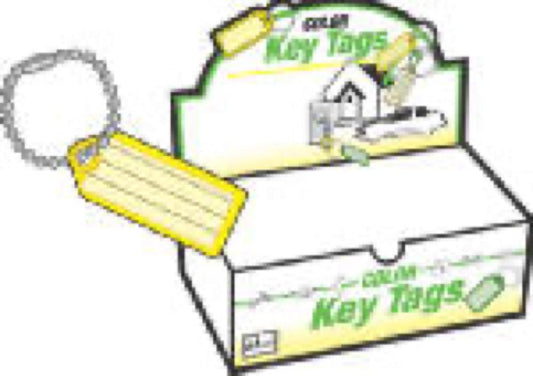 100PK ID Key Tag/Chain