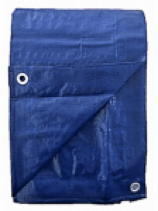 TG 30x50 BLU Poly Tarp